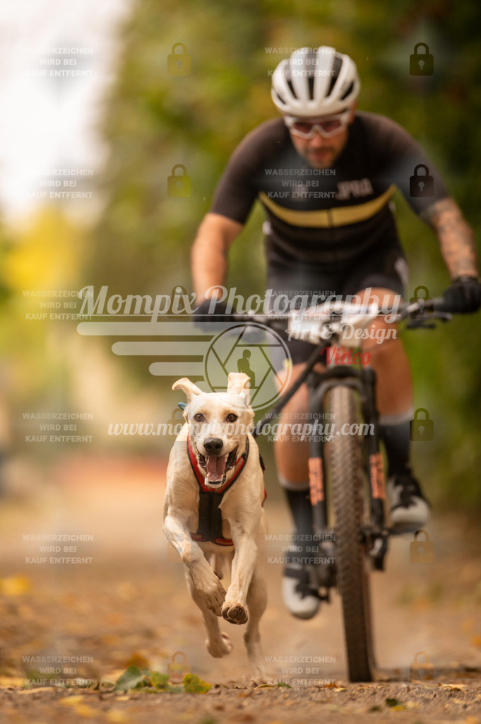 CDLBDB_14_10_2023_Samedi-128 | PayLife