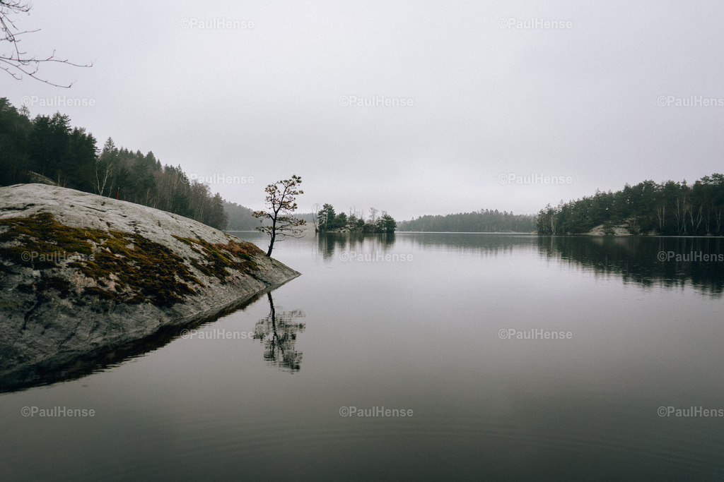 20220414_0002_PaulHense_DSC00895 | paulhense - Realisiert mit Pictrs.com