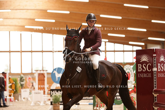 1J2A2948Leonie Ulrich_ Campino M 5_ Kn058_ Hohen Wieschendorf_ Glantz | Foto- und Videografie für alles rund ums Pferd. Hochwertige Bilder und Videos vom Spring- und Dressurreiten, Voltigieren & mehr. Jetzt aktuelle Veranstaltungen und Preise im Shop ansehen. - Realisiert mit Pictrs.com