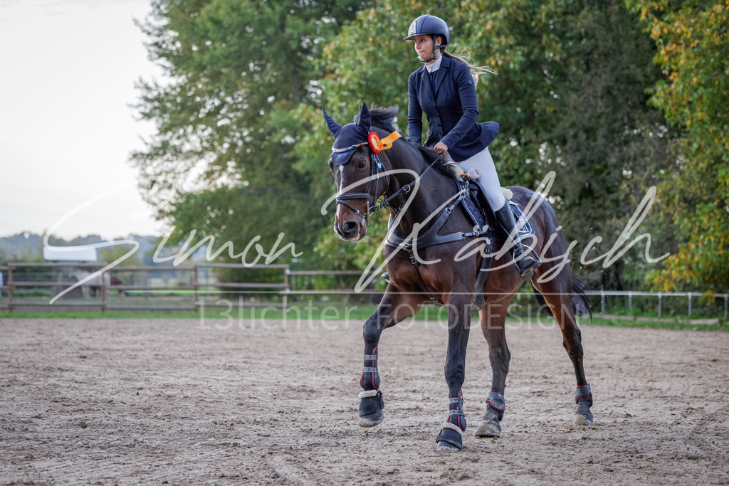 20251012-_3LI6009 | Tierfotografie Pferde, Hunde, Katzen, Haustiere.
Turnierfotografie Reitturniere, Reiten, Springreiten, Dressur in Hanau, dem Main-Kinzig-Kreis und dem Rhein-Main- Gebiet um Frankfurt