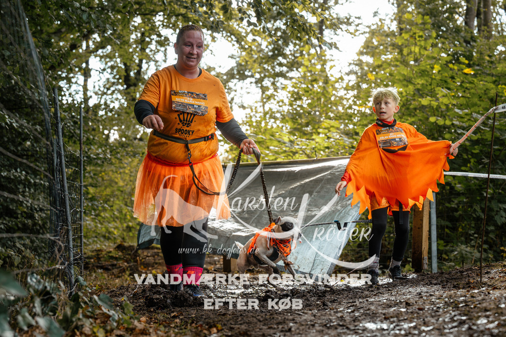 1459DZ6_4191Z6 | kk-dogfotos
