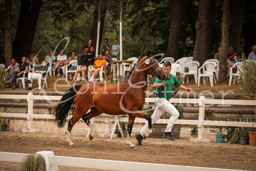 12.So00053 | Leoni Ertmer Photography - Realisiert mit Pictrs.com