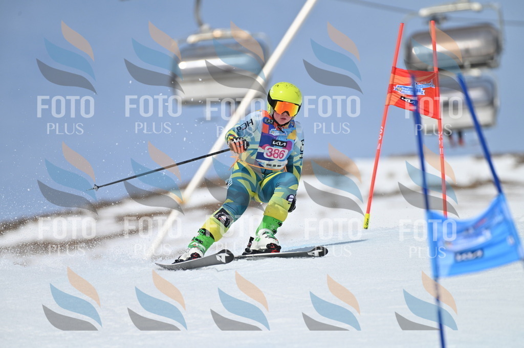 BGV_4279 | holidayphoto