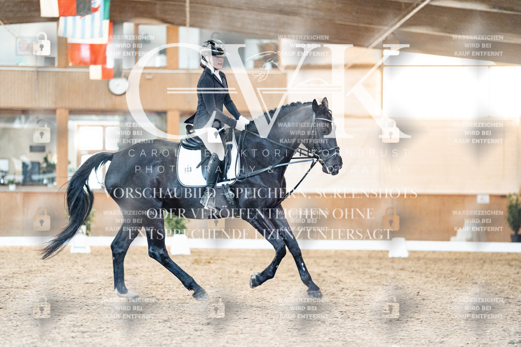 CK906974 | Turnierfotografie Pferdefotografie Trier Rheinland-Pfalz Pferdesport Reitsport Tierfotografie Sportfotografie Pferdevideo Pferdevideografie Equestrianvideography equestrianphotography  - Realisiert mit Pictrs.com