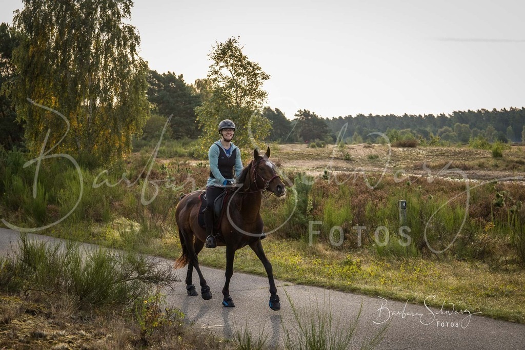 DdLH-TrotBy_2025-09-20_15 | Fotografie, Veranstaltungs-Fotografie, Pferde-Fotografie, Landschafts-Fotografie, Reise-Fotografie - Realisiert mit Pictrs.com