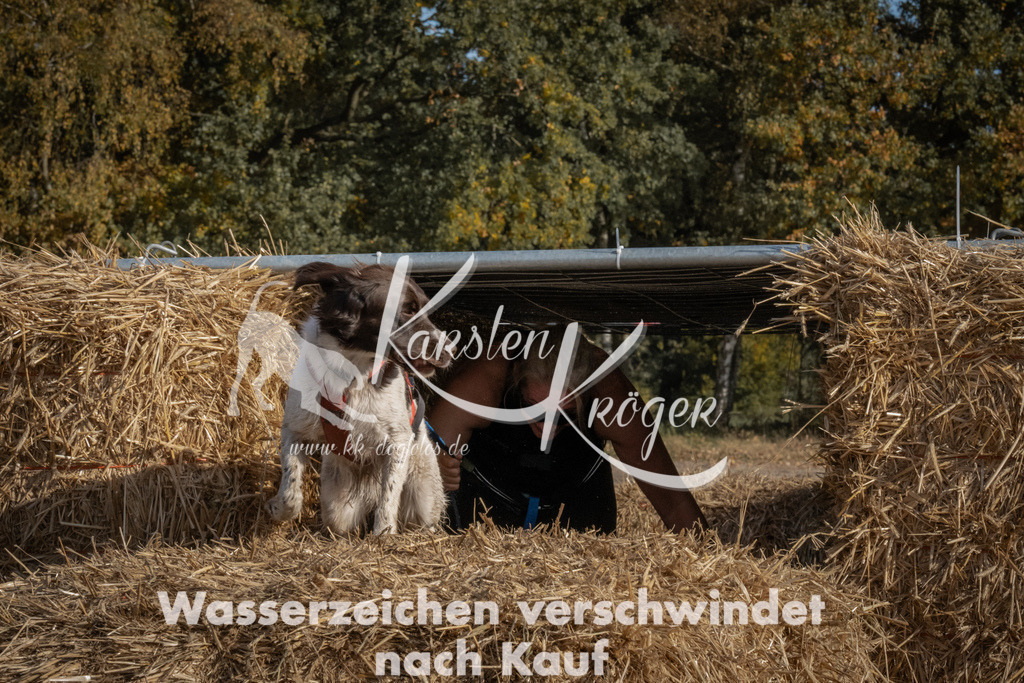 1134_ZZ92101 | kk-dogfotos