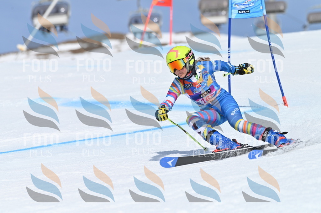 BGV_0381 | holidayphoto