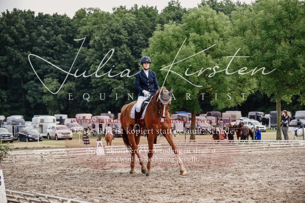DSC_9921 | Pferde- und Turnierfotografie in Westsachsen. Pferdeportraits, Auftragszeichnungen und intuitive Kunst.