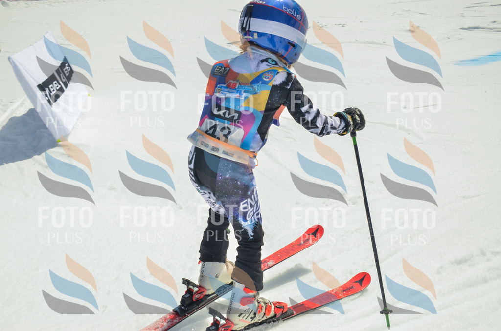 _ELE5082 | holidayphoto