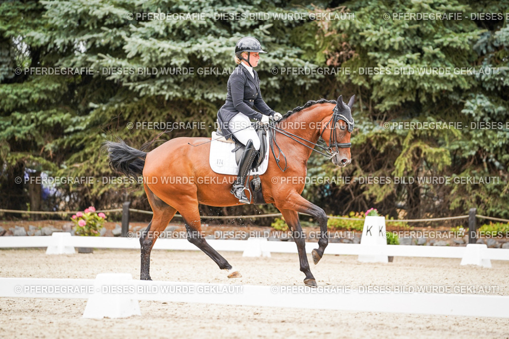 DSC07300 | Pferdegrafie