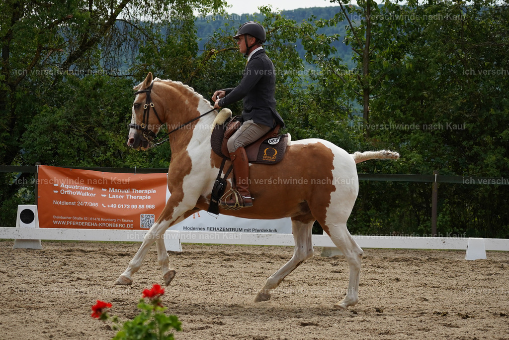 KlasseS_Lucie572 | working equitationturnier fotograf videograf stoibphotography marixx film working equitation deutschland reitsport turnierfotografie eventfotografie equestrian events