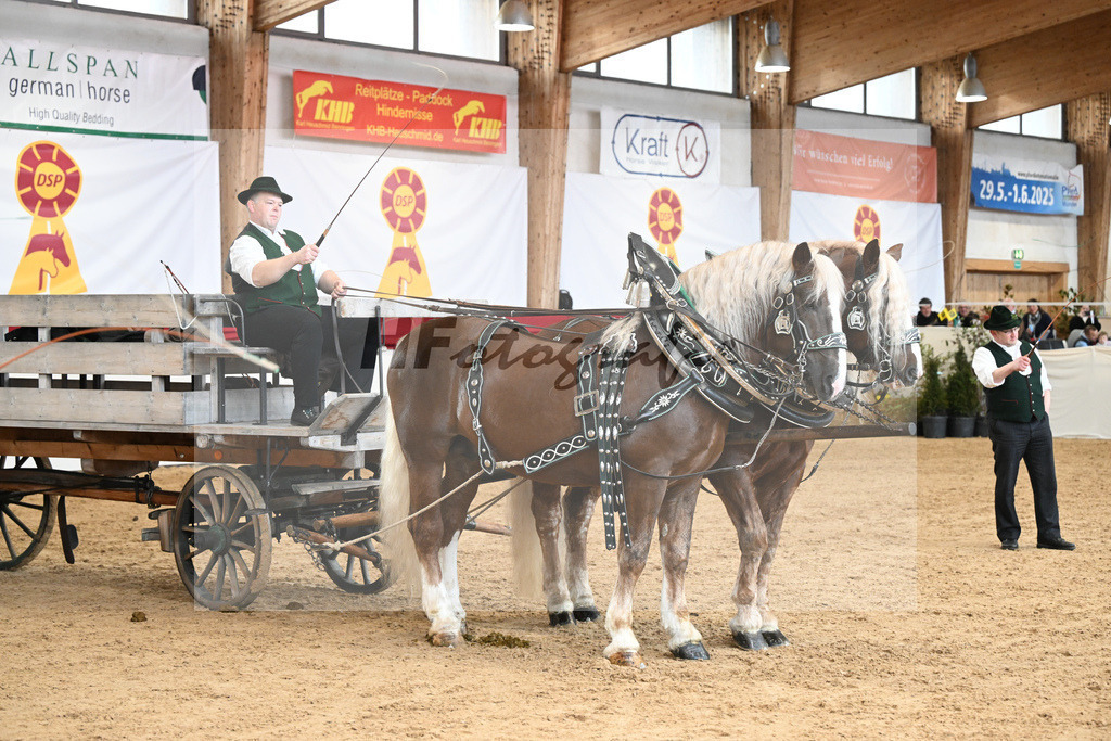 Schauprogramm Sueddeutsches Kaltblut_Schelle_2251604 | hf-fotografie - Realizzato con Pictrs.com