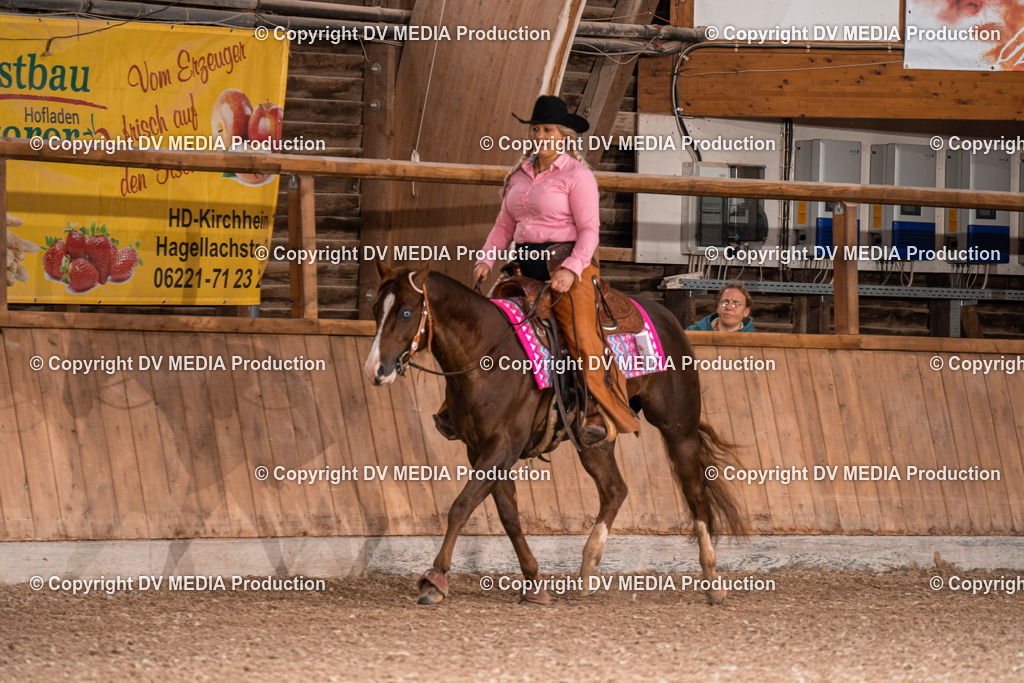 Heidelberg Tag 2-370 | dv-media-shop - Realisiert mit Pictrs.com