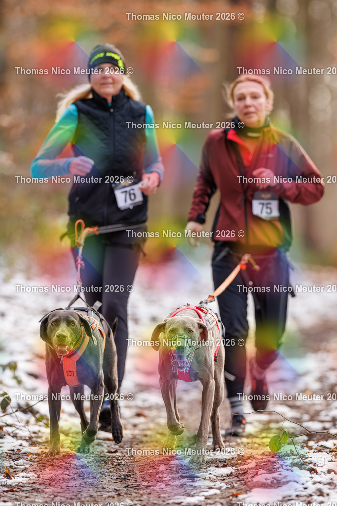 Thomas_Nico_Meuter(C)_223A9141 | Bild von Thomas Nico Meuter - Realisiert mit Pictrs.com