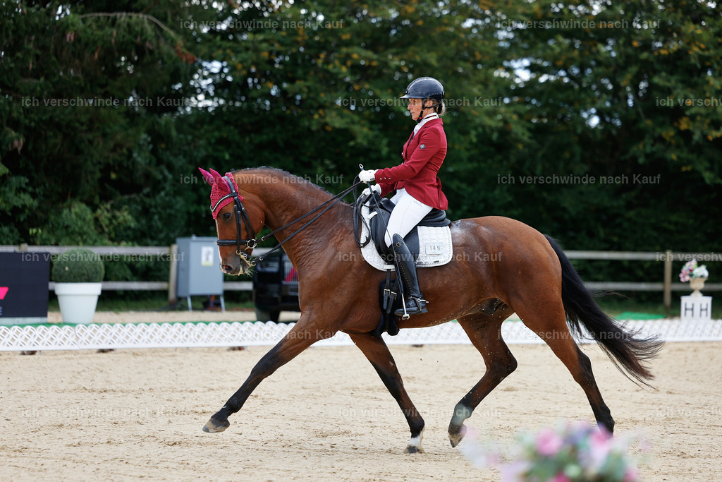 04_1-149-Dressur M__ -StoibPH-StoibPH-2621 | working equitationturnier fotograf videograf stoibphotography marixx film working equitation deutschland reitsport turnierfotografie eventfotografie equestrian events