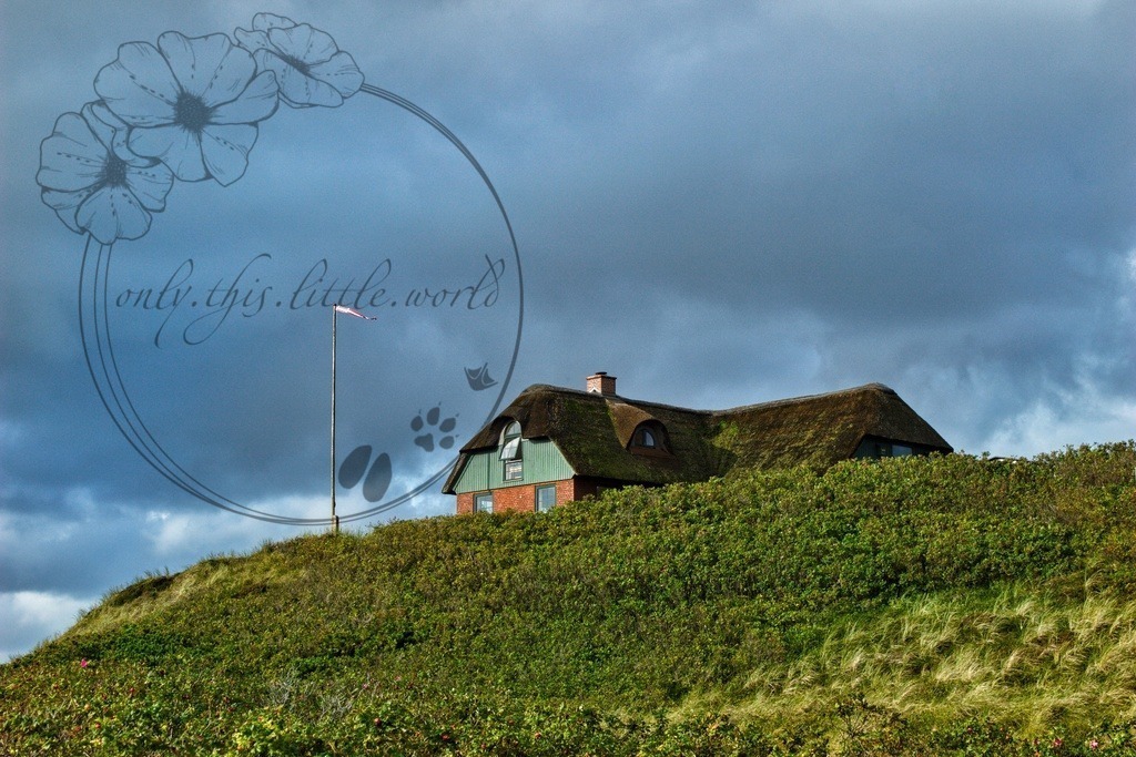IMG_9053-01 | only.this.little.world - Realisiert mit Pictrs.com
