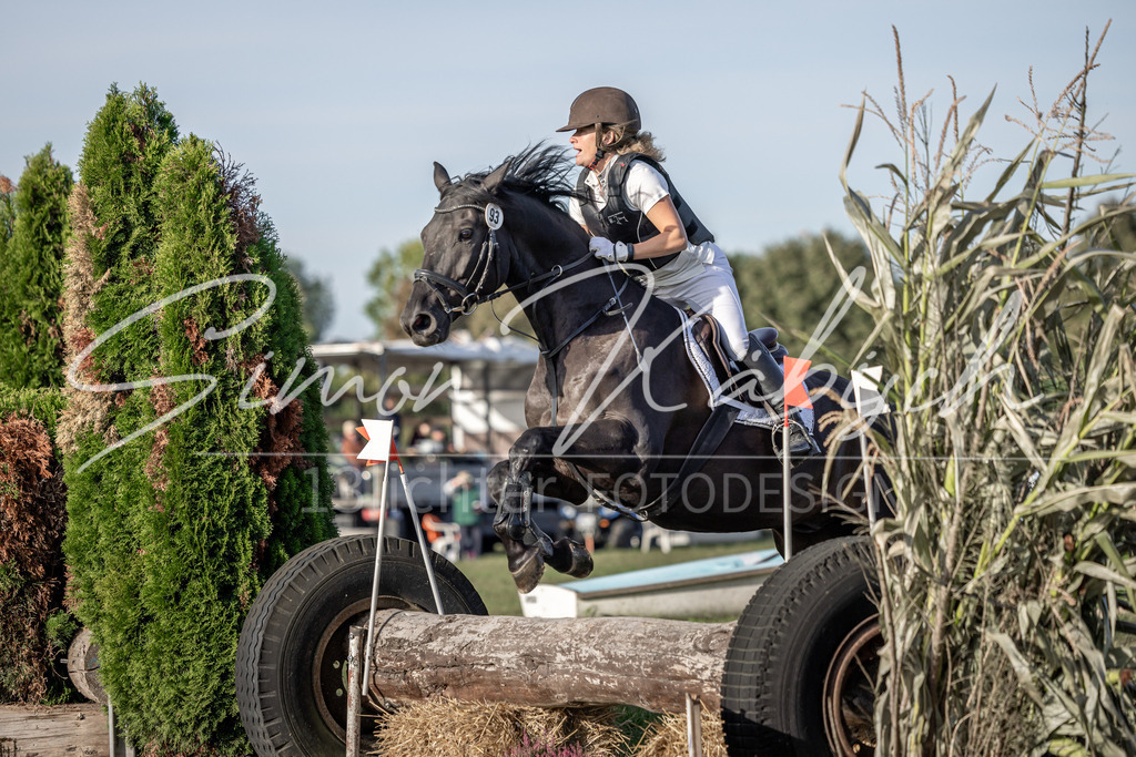 20250907-_3LI8599 | Tierfotografie Pferde, Hunde, Katzen, Haustiere.
Turnierfotografie Reitturniere, Reiten, Springreiten, Dressur in Hanau, dem Main-Kinzig-Kreis und dem Rhein-Main- Gebiet um Frankfurt