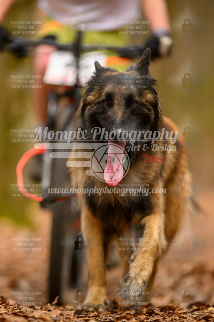 MompixPhotography_Habay2025_SA_Bike-188 | PayLife