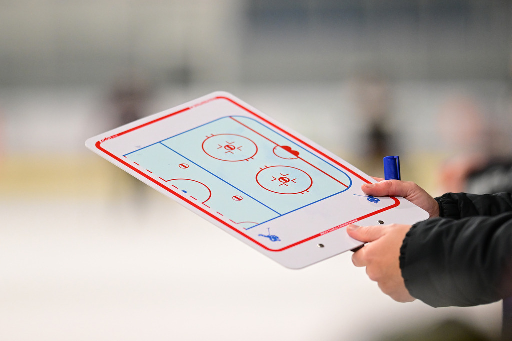 Eishockey I Frauen I Saison 2023-2024 I Testspiel I TuS Harsefeld Tigers - Crocodiles Hamburg | Der Sportfotograf. - Realisiert mit Pictrs.com