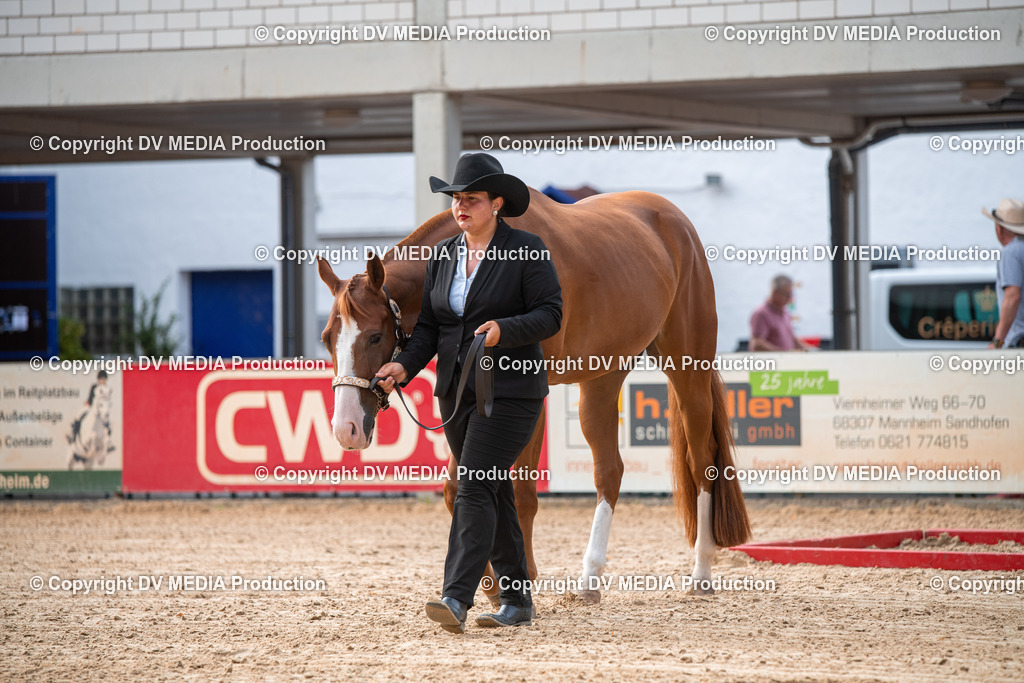 EWP_5560 | dv-media-shop - Realisiert mit Pictrs.com