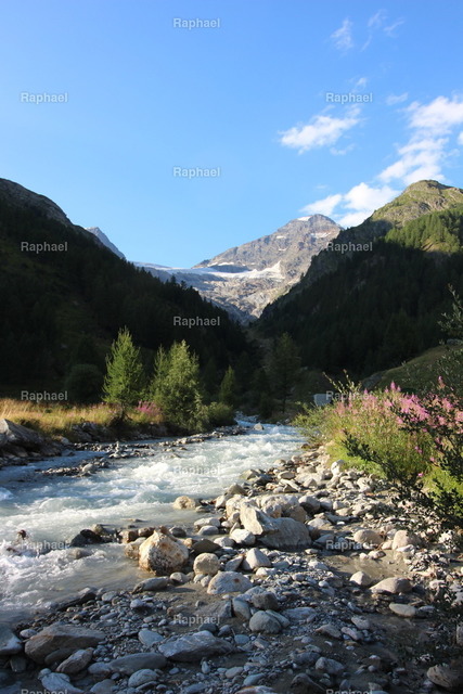 IMG_3242 | Raphael - Realisiert mit Pictrs.com