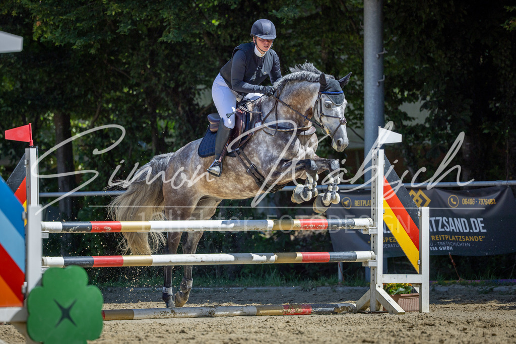 20260704-_3LI7959 | Tierfotografie Pferde, Hunde, Katzen, Haustiere.
Turnierfotografie Reitturniere, Reiten, Springreiten, Dressur in Hanau, dem Main-Kinzig-Kreis und dem Rhein-Main- Gebiet um Frankfurt
