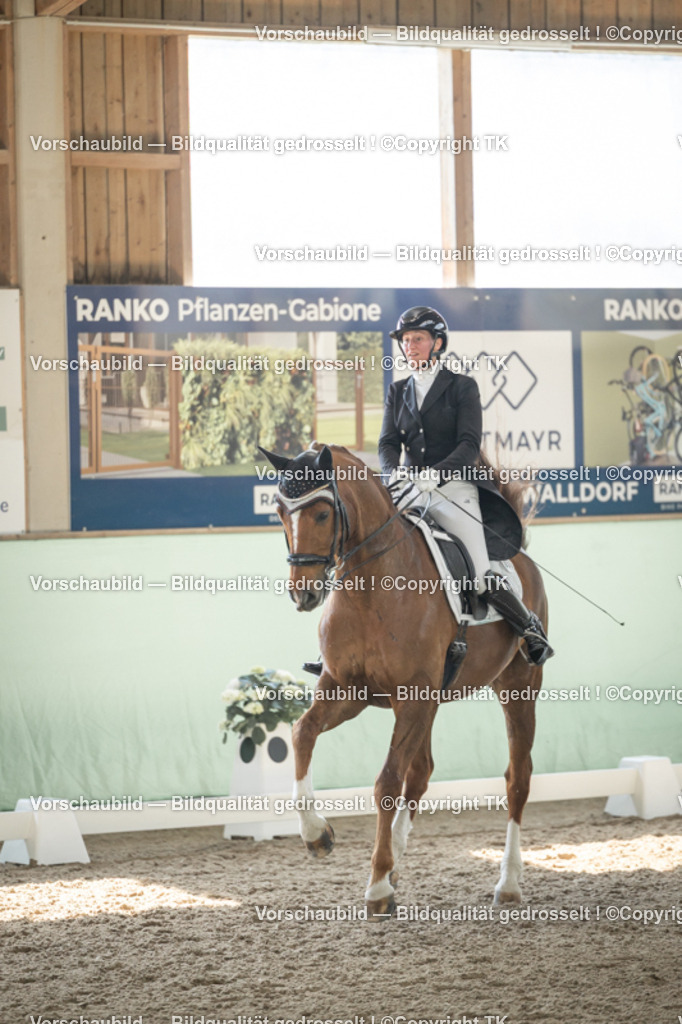 _D5A2260 | Emotionale Pferde- & People-Fotografie rund um Heidelberg, Leimen & Umgebung. Natürliche Fotos von Pferd, Mensch & Familie. Jetzt Termin sichern!