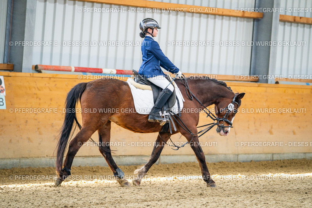 DSC02448 | Pferdegrafie