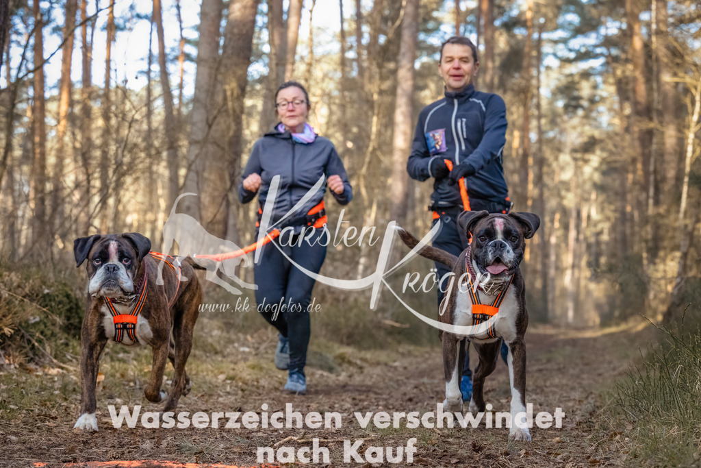0836_ZZ91722-Bearbeitet | kk-dogfotos