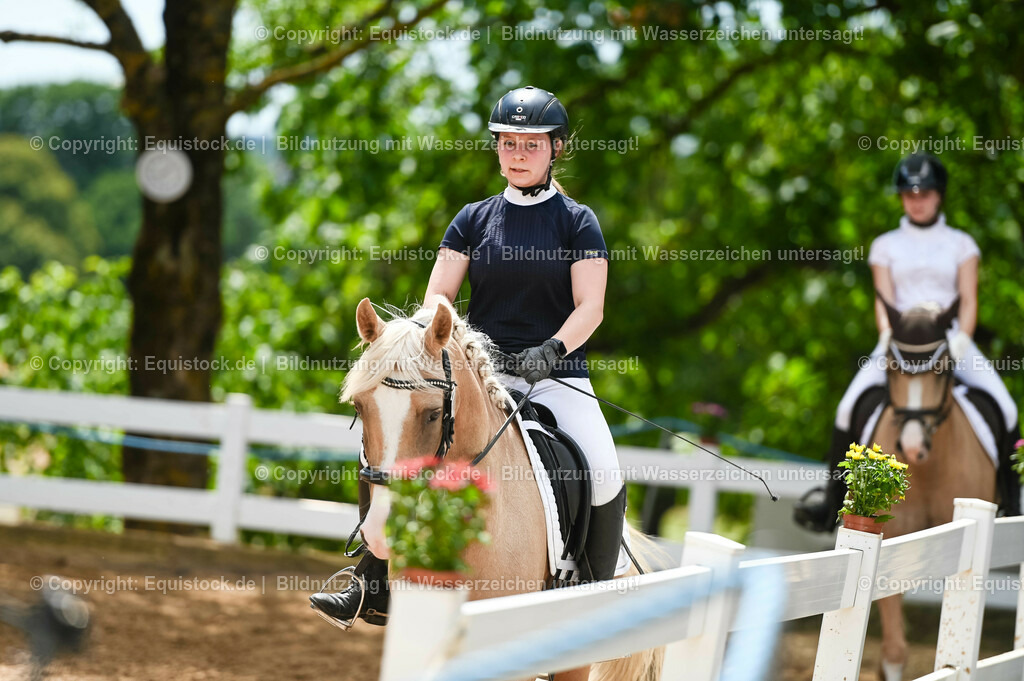 20230715_09_Dressur-WB_0540 | equistock