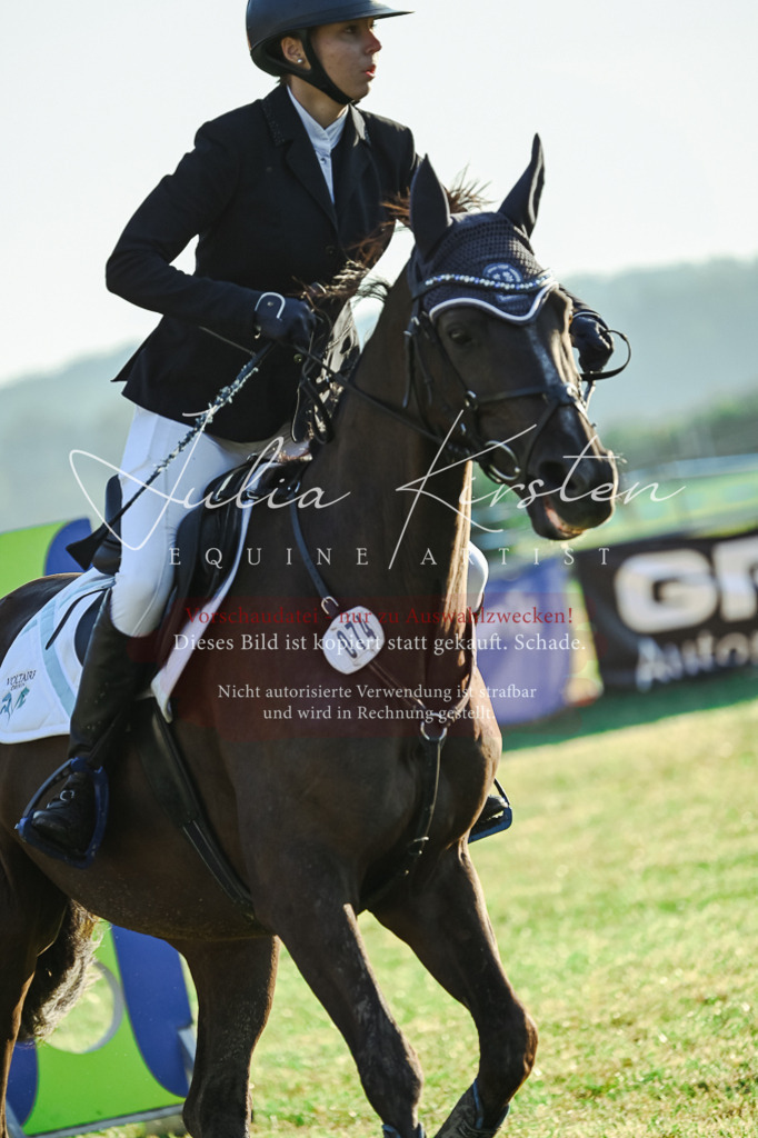 DSC_3812 | Pferde- und Turnierfotografie in Westsachsen. Pferdeportraits, Auftragszeichnungen und intuitive Kunst.