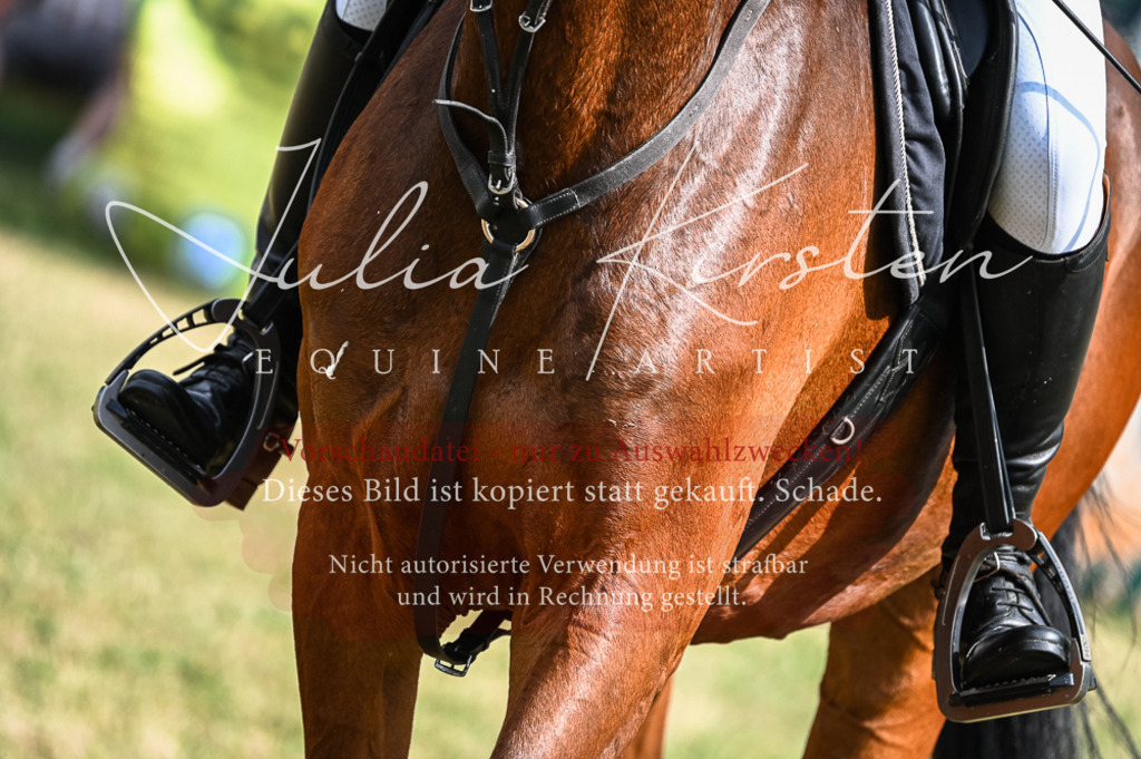 DSC_8384 | Pferde- und Turnierfotografie in Westsachsen. Pferdeportraits, Auftragszeichnungen und intuitive Kunst.