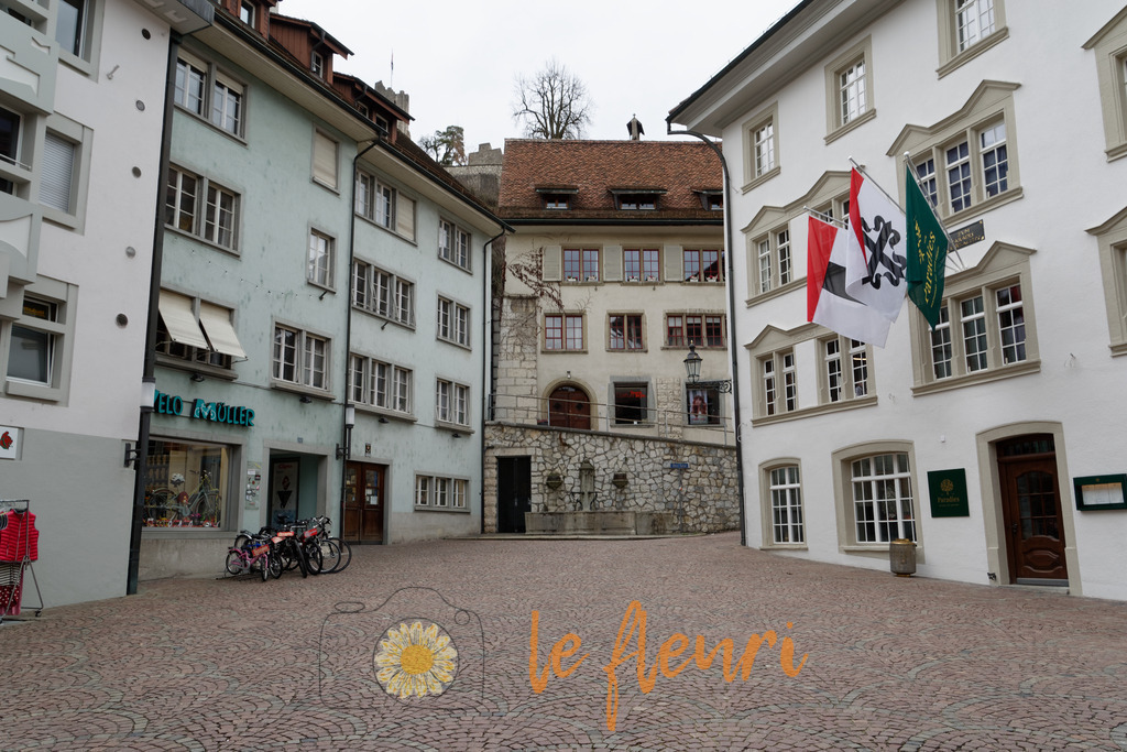 DSC_0071-NEF_DxO_PRIME | Dies ist der Shop von Florian Blum - le fleuri. Langenthal, Bern, Schweiz. Sie können hier meine oder ihre eigenen Fotos als Fotoprodukte kaufen. Tassen, Schlüsselanhänger, Taschen etc. können Sie hier gestalten.  - Realisiert mit Pictrs.com