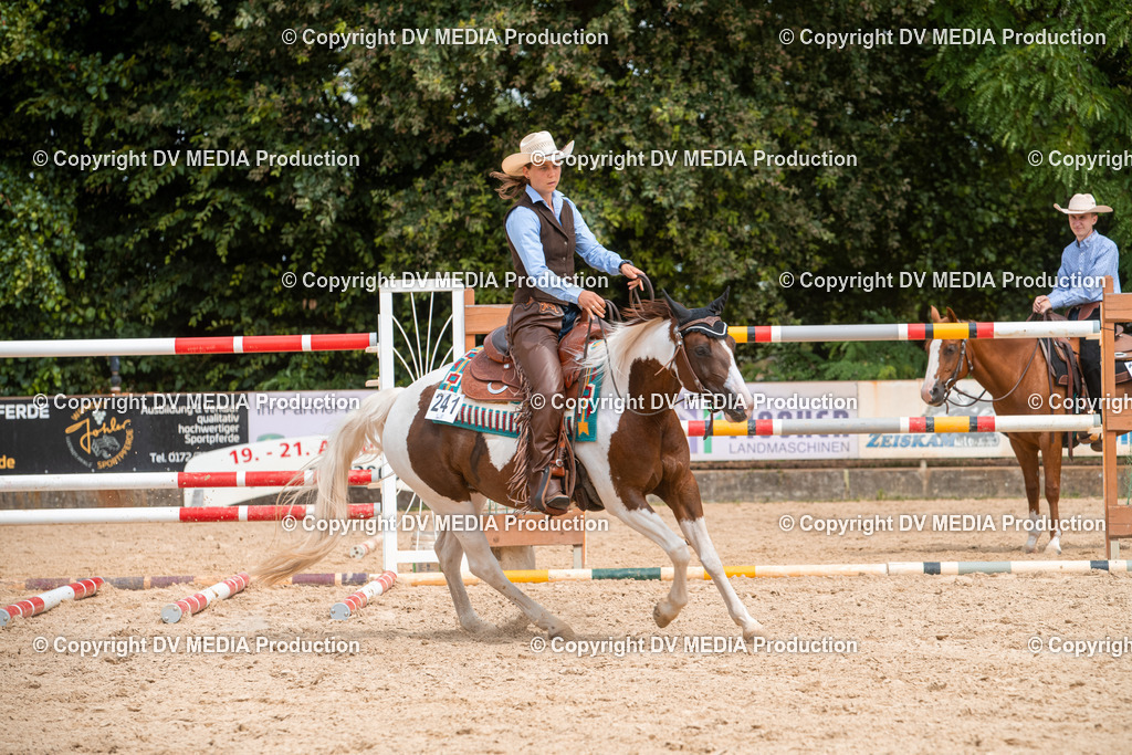 EWP_6084 | dv-media-shop - Realisiert mit Pictrs.com