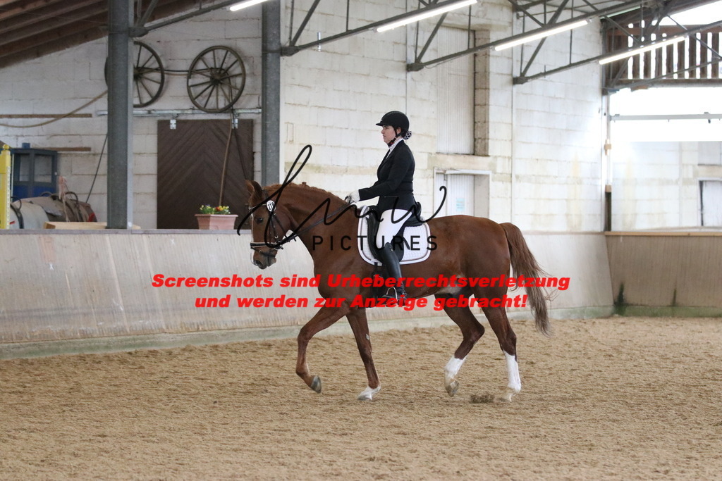 IMG_7760 | lmwpictures - Realisiert mit Pictrs.com