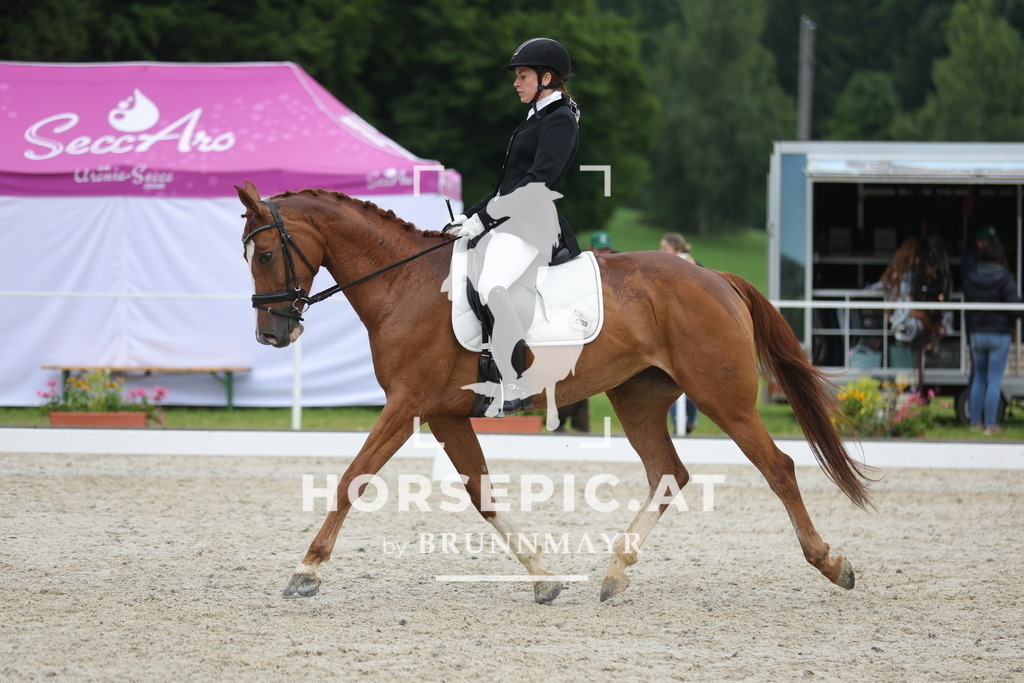 0P6A3591 | Willkommen bei Brunnmayr - Design & Fotografie – Ihrem Spezialisten für Reitturniere und Pferdeveranstaltungen in Oberösterreich, Salzburg und Bayern! Seit über 17 Jahren sind wir leidenschaftlich dabei.