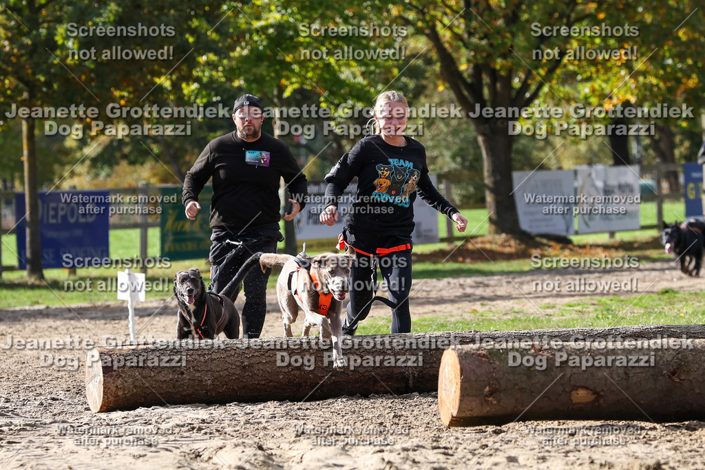 Dog Paparazzi - Strongdog 10-25-5142 | Dog Paparazzi Jeanette Grottendiek Fotografie & Videografie - Realisiert mit Pictrs.com
