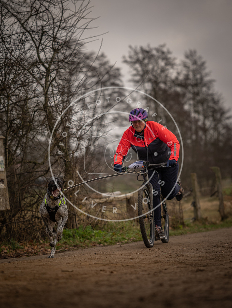Pfotenfotografie_DV3A3985 | Hundefotografie, Tierfotograf, Pfotenfotografie, Fotoshooting Hund, Hunde Portrait, Hundesport, Hundeportraits, Heideshooting, Hunde, Sportfotograf, Hundefotograf, Turnierhundsport, THS,  - Realisiert mit Pictrs.com