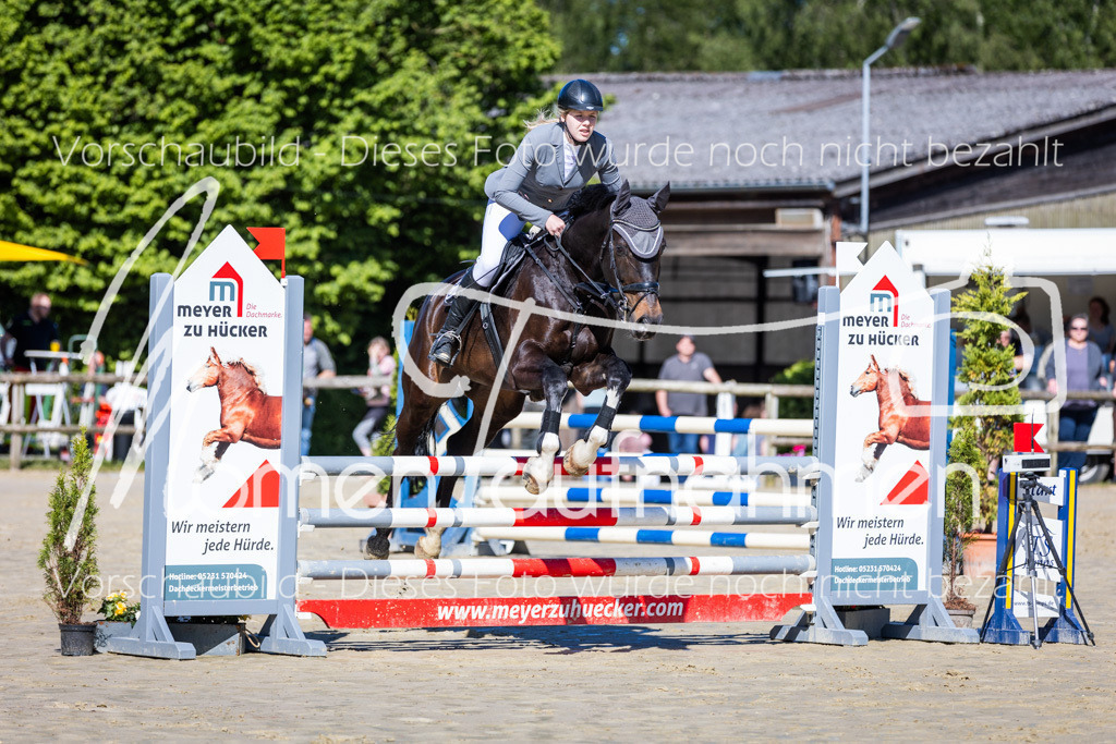 Donop24-A2Spr-043 | MomenTaufnahmen Pferdesportfotos