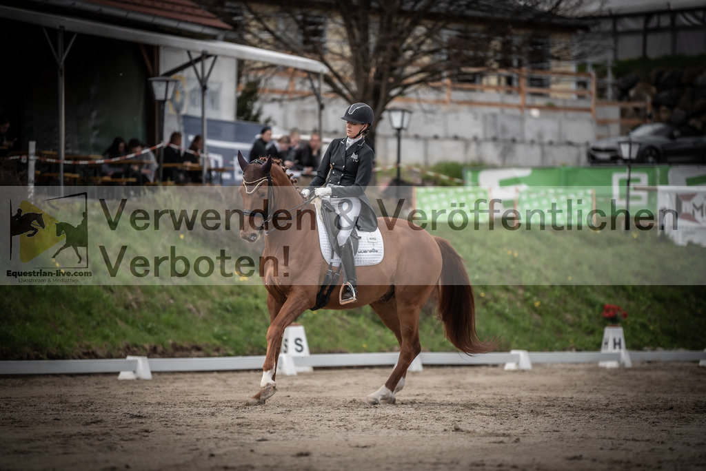 DSC_3110 | equestrian-live-com