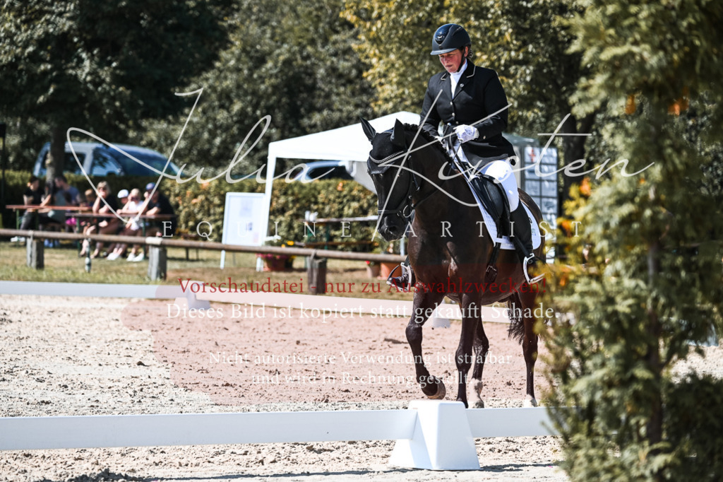 DSC_5004 | Pferde- und Turnierfotografie in Westsachsen. Pferdeportraits, Auftragszeichnungen und intuitive Kunst.