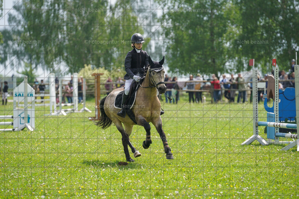20240509-FAH02325 | Turnierbilder der Turnierfotografen Bayern, Pferdesport Fotografie, Reitsportbilder, Turnier Landberg am Lech, Turnierbilder bayern, Fotoagentur Herrmann