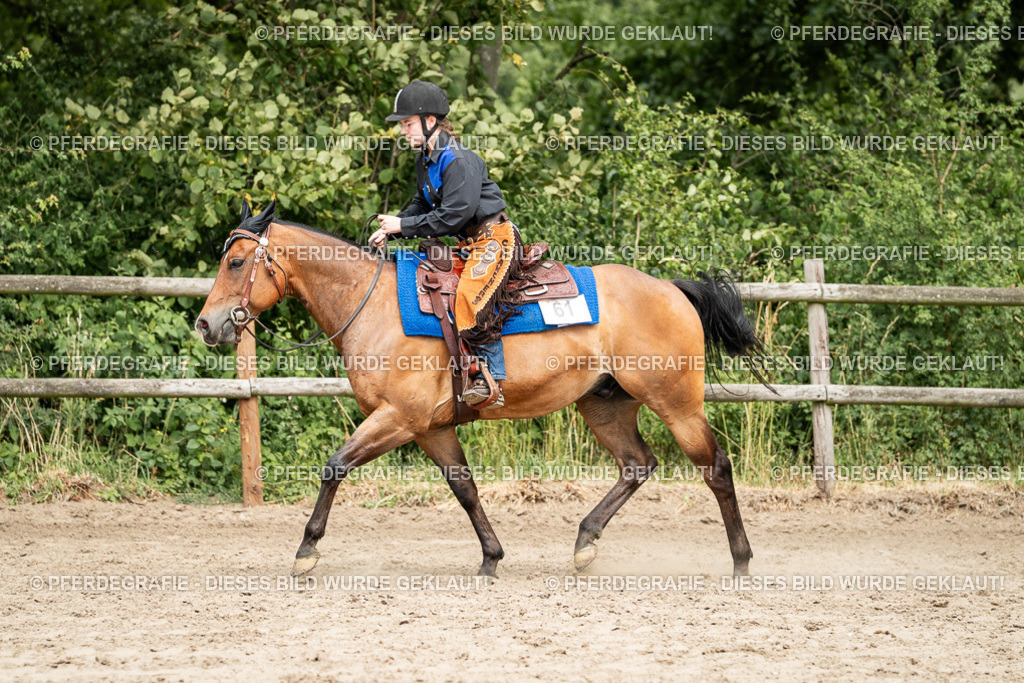 DSC01636 | Pferdegrafie