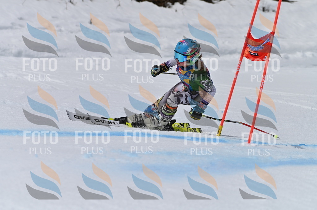 BGV_5796 | holidayphoto