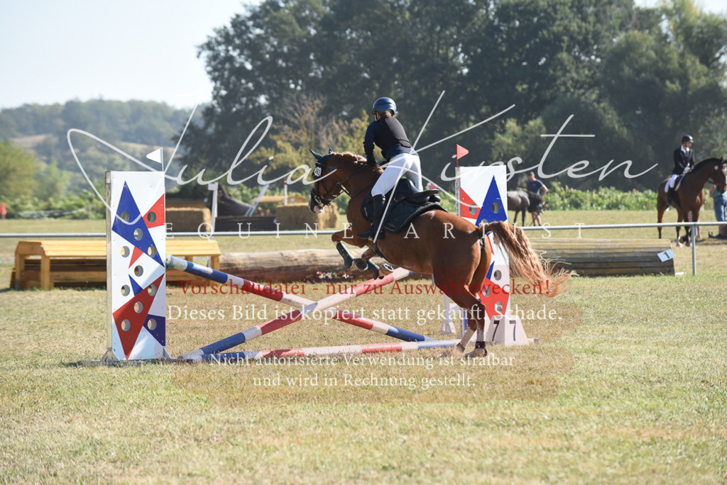 DSC_6000 | Pferde- und Turnierfotografie in Westsachsen. Pferdeportraits, Auftragszeichnungen und intuitive Kunst.