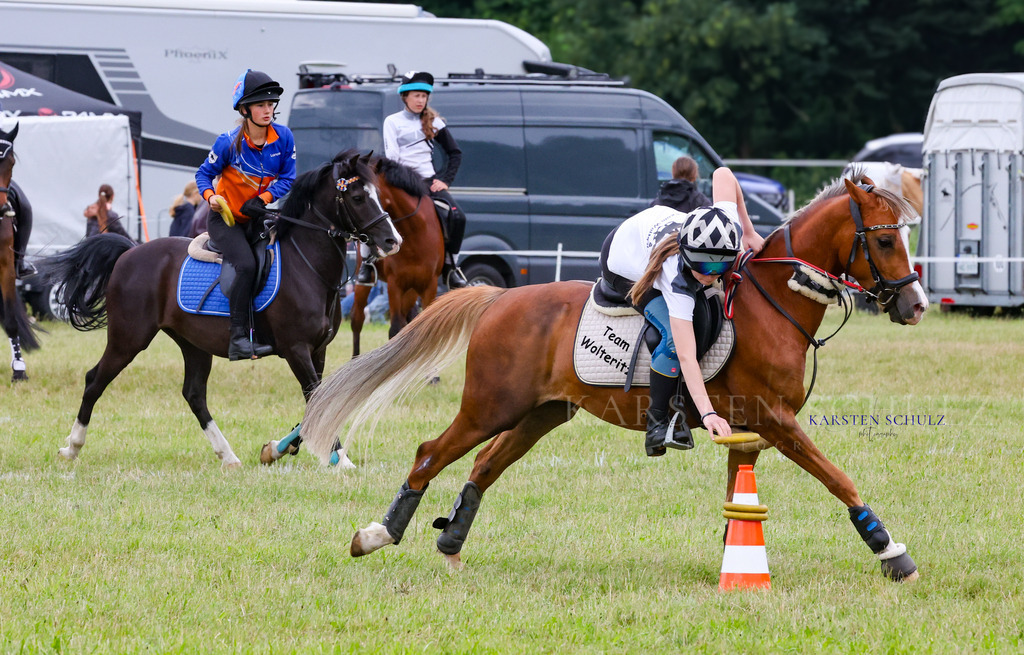 1B3A1486 | Reitsport Reiten
