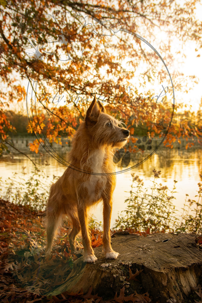 IMG_5591.Licht + Reflex. 1 | only.this.little.world - Realisiert mit Pictrs.com