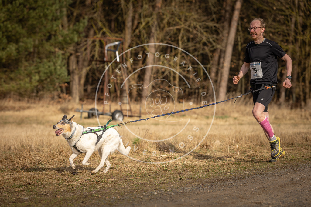 DV3A3709 | Hundefotografie, Tierfotograf, Pfotenfotografie, Fotoshooting Hund, Hunde Portrait, Hundesport, Hundeportraits, Heideshooting, Hunde, Sportfotograf, Hundefotograf, Turnierhundsport, THS,  - Realisiert mit Pictrs.com