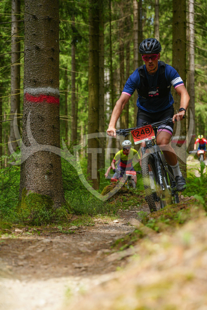 FC603712 | Fotogalerie der Treibjagd im Dunkelwald - Dein MTB Etappenrennen im Erzgebirge - Realisiert mit Pictrs.com