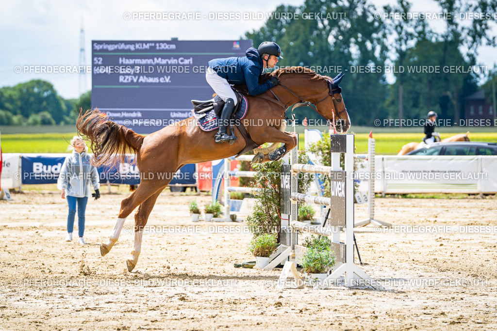 DSC04912 | Pferdegrafie